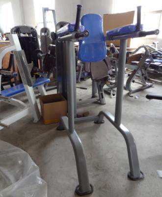 China Commercial Use Indoor Vertical Knee Raise Fitness Exercise Equipment / Gym Products Factory Price For Sale for sale