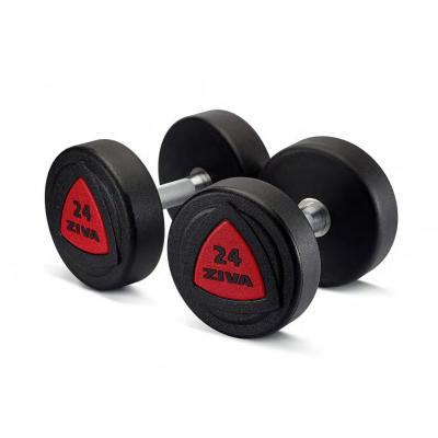 China New Universal CPU Coated Round Dumbbell For Gym Equipment for sale