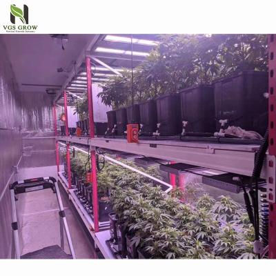 China Hot Sale Indoor Hydroponic Growing System Indoor Planting Vertical Grow Rack For Sale for sale