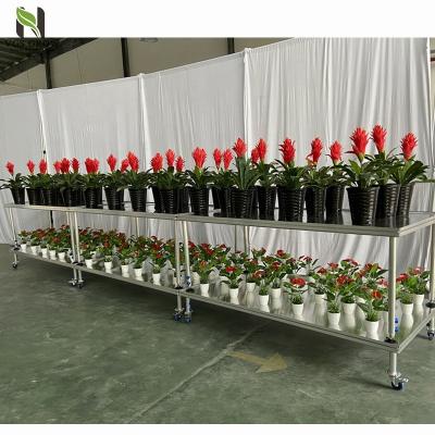 China Indoor Planting Adjustable Tiered Vertical Mobile Growing Rack For Plants for sale