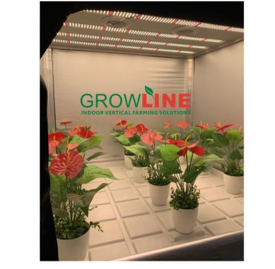 China Easily Assembled Indoor Grow Box and Growing Kit for sale