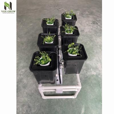 China Used Hydroponic Drip Irrigation Systems 6 Dutch Indoor Planting Movable Bucket for sale