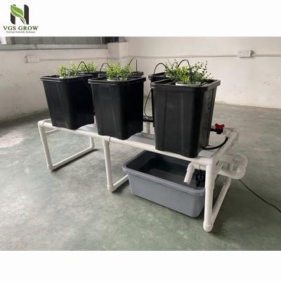 China Duck Bucket Hydroponic System Indoor Planting Drip Irrigation for sale