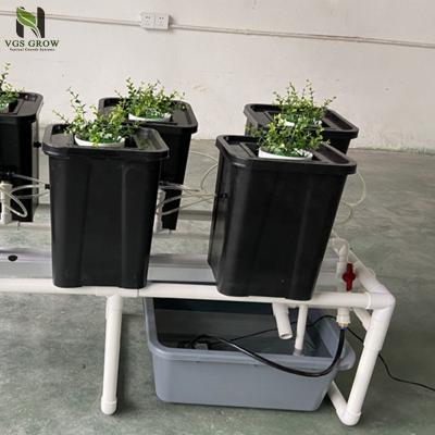 China Popular Dutch Bucket System Greenhouse Aeroponics Indoor Planting System for sale