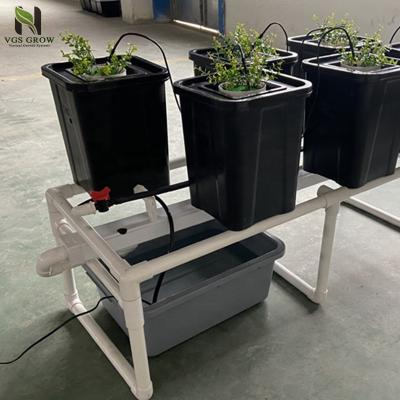 China Indoor Planting Small Grow Pots Hydroponic Dutch Bucket Drip Irrigation Growing System for sale