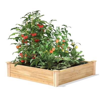 China Modern Outdoor Garden Vegetable Box Garden Planting Wooden Raised Wooden Bed For Planting Flowers for sale