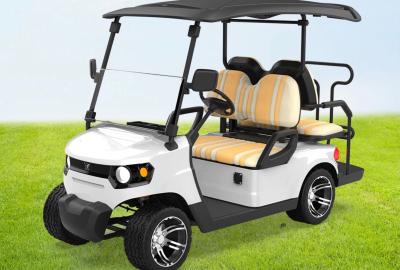 Κίνα 2 + 2 θέσεις Τροχόσπιτα Ηλεκτρικό Golf Buggy ECE ISO Έγκριση προς πώληση