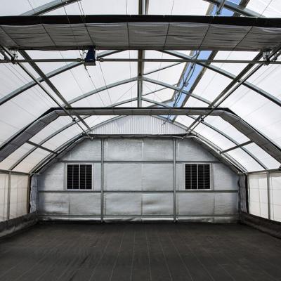 China Medical Planting for USA Commercial Plastic Sheet Tunnel Greenhouse Galvanized Transparent Agriculture Greenhouse Tunnel Garden Greenhouse for sale