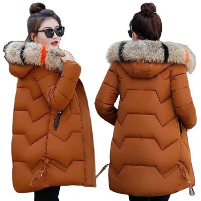 China Anti-Wrinkle Winter Padded Jacket Women's Fur Collar Ladies Hoodie Coat Fashionable Ladies Duck Down for sale