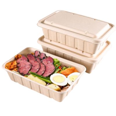 China Eco-friendly Recyclable Biodegradable Paper Noodle Food Bowl Fast Food Packing Box Sugarcane Bagasse Takeaway Food Container for sale