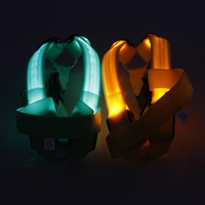 China Viable Nylon Pet Safety LED Harness Dog Product Flashing Light Harness Rope Belt LED Dog Collar Vest Pet Supplies for sale