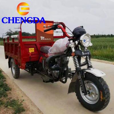 China New 150cc 200cc Africa Cargo Motorcycle Tricycle for sale