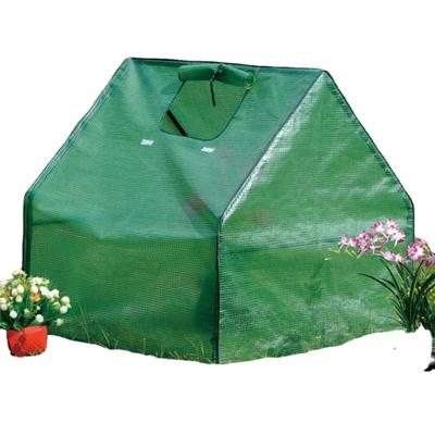 China PE Mini Greenhouse for small plants and flowers for sale