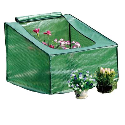 China PE Mini Greenhouse for small plants and flowers for sale