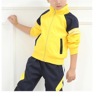 China Breathable Custom Polyester Gym Tracksuit Plain Boys Tracksuit Sets for sale