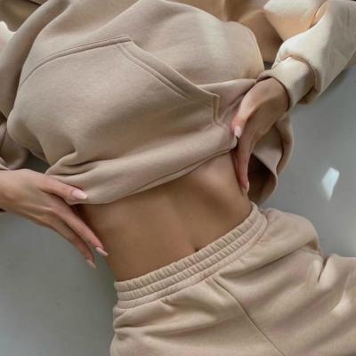 China New Autumn Winter Tracksuit Two Piece QUICK DRY set women's hooded sweatshirt and pants 2PCS outfits women tracksuit female casual sports suit for sale