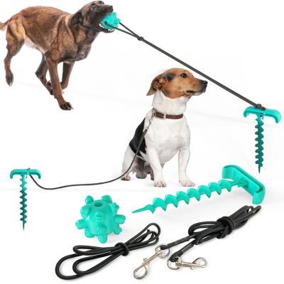 China Multi-Functional Dog Peg Outdoor Multi-Functional Dog Peg Fixed Cord Ball Combination Toy Pet Leashes Viable for sale