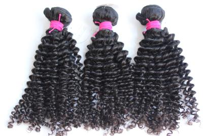 China Extensiones brasileñas rizadas rizadas del pelo de las cutículas llenas para las mujeres negras en venta