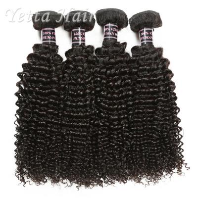 China Negro natural del rizo de las extensiones indias rizadas del cabello humano sin sustancia química en venta