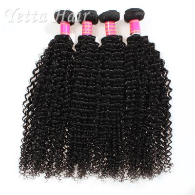 China Kinky Curly Burmese Virgin Hair Bundles , No Tangle Real Wavy Hair for sale