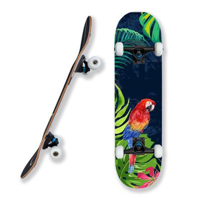 China Youth Pro 8 Inch Skateboard For Sale 7 Ply Chinese Maple Complete Skateboard With 54*36mm PU Wheels Skate Board For Beginners for sale