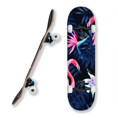 China Hot Selling Custom Youth Cheap Complete 7 Ply Chinese Maple Skateboard With 54*36mm Wheels Skate Board For Beginners for sale