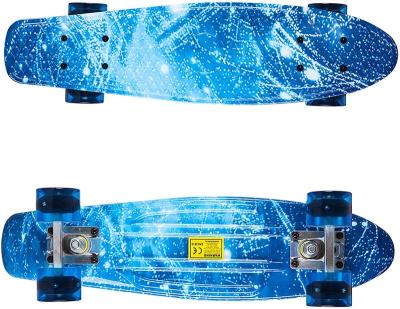 China Wholesales Youth Skateboard 22 Inch Full Board Fish Mini Cruiser Skateboard With LED Light Plastic Wheel Skateboard for sale