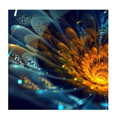 China Flower Embroidery Sale 5D DIY Diamond Painting New Flower Diamond Mandala Pictures Of Rhinestones Mosaic Wall Art for sale