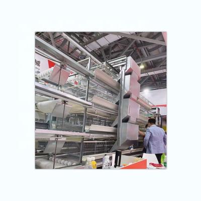 China Home Use H Type Automatic Poultry Layer Chicken Cage For Sale for sale