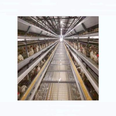 China Home Use H Type Automatic Poultry Egg Laying Chicken Cage Used In Poultry Farm for sale