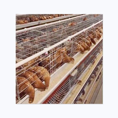 China Cost-effective home use can be filled with space for 36 chicken automatic chicken poultry layer h-type cage for sale