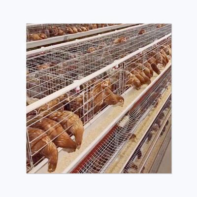 China Home Use Highly Recommended Laminated Vertical Equipment For Layer Cages Chicken Poultry Layer Cage for sale