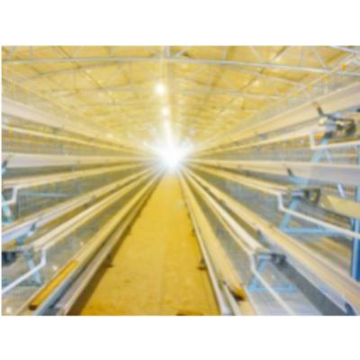 China Farms Layer Poultry Farming One Type Battery Fully Automatic Chicken Layer Cage System for sale