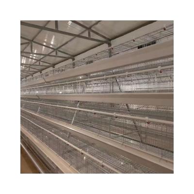 China Commercial Chicken Farms Factory Quality Poultry Hen Brooder Cage Egg Layer A Type Cage for sale