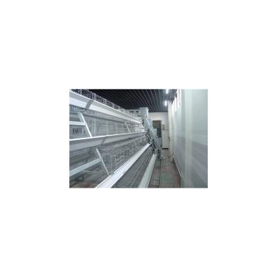 China Complete Automatic Poultry Chicken Layer Cage A Type Automatic Egg Cage For Chickens for sale