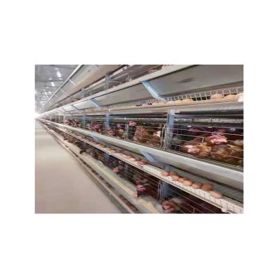 China High Quality Automatic Full Automatic Poultry Farms Battery Layer Chicken Cage H Type Egg Layer Cages for sale