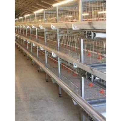 China Increase Type Automatic Chicken Cage Chicken Layer Egg Production Poultry Battery Layer H Cage For Sale for sale