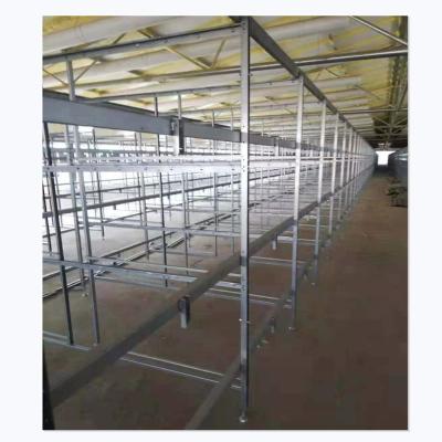 China Farms Poultry Chicken Broiler Automatic Battery 3 Tiers H Type Cage for sale