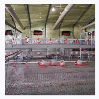 China Chicken Breeding And Harvesting Can Work At The Same Time Automatic Farm Poultry Chicken Battery Broiler Cage H Type for sale