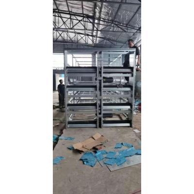 China Full Automatic System Battery Broiler Broiler Poultry Farming Equipment H Type Double Cage Lines for sale