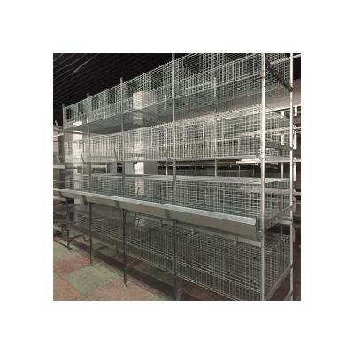 China Farms Price Favorable Equipment For Automatic Poultry Chicken Brooder Cage H Type Pullet Raising Cage for sale