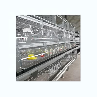 China Farms Factory Wholesale Hot Dip Price 3 or 4 Layers Galvanized Material Automatic Poultry Chicken Pullet Raising Cage for sale