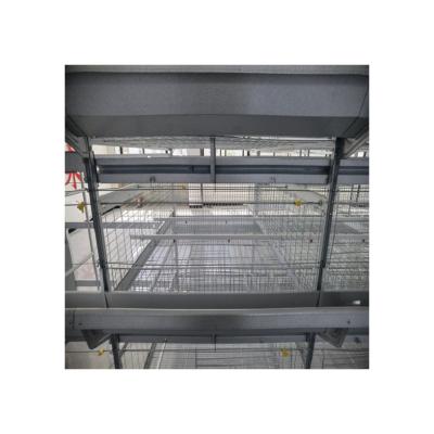 China Farms Excellent Quality Automated Breeding Poultry Chicken Equipment H Type Automatic Pullet Raising Cage for sale