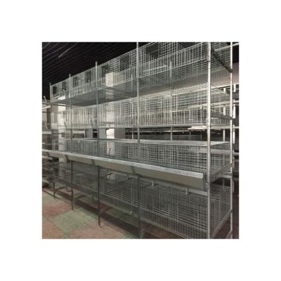 China Wholesale Farms Factory Price 3 or 4 Layers Brooder Cage Farms Automatic Poultry Chicken H Type Pullet Raising Cage for sale