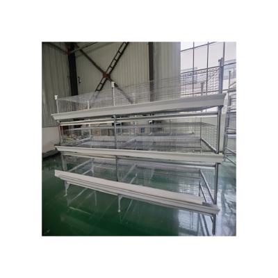 China Farms Quality Assurance There is 300cm2 sqcm2 per chicken h type automatic poultry chicken pullet rearing cage for sale