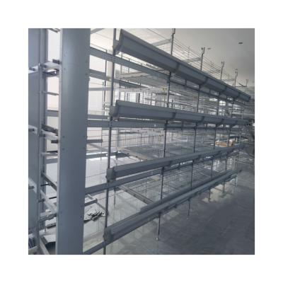 China Automatic Animal Farms Product Direct Sales Poultry Cage Pullet Raising Cage System for sale