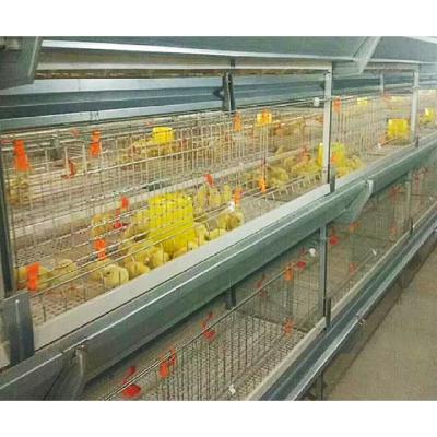 China Farms Chicken Farm Rows 3/4 A Type Automatic Baby Chick Rearing Pullet Cage System for sale