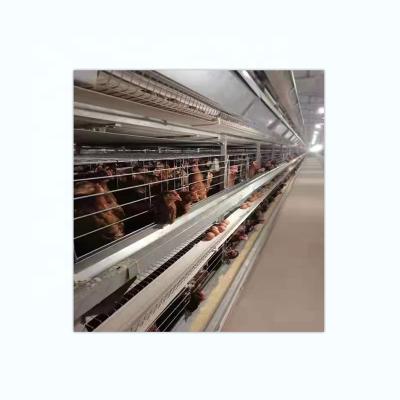 China Farms H Type Double Row Single Row Automatic Broiler Cage For Farm for sale