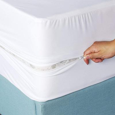 China High Quality Hypoallergenic Breathable Anti Bed Insect Water Proof Terry Cotton Mattress Protector With Zipper for sale