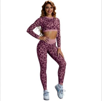 China New Arrival Breathable Leopard Print Yoga Sets Fitness Women Cultivate Set Top Gym Jogger Sport Sexy Wear For Ladies for sale